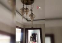 Bingöl'deki Deprem Doğu Karadeniz'de De Hissedildi