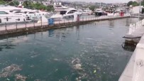 İstanbul Boğazı'nda Çöp Adaları Oluştu Haberi
