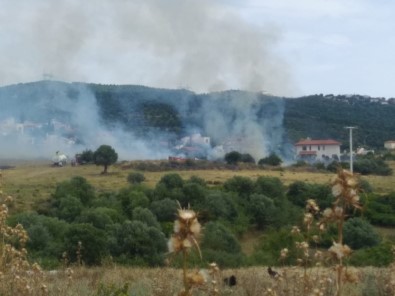İzmir'de Çalılık Alanda Yangın