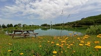 Saklı Cennet 'Yeşil Göl' Turizme Kazandırılıyor