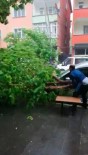 Çatak'ta Şiddetli Yağmur Ve Fırtına Ağaç Devirdi Haberi