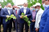 Çavuşoğlu, Dolu Mağduru Çiftçinin Yanında... Haberi