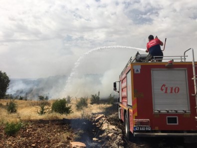 Mardin'de Ormanlık Alanda Yangın