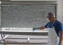 (Özel) Köylerine Fabrika Kurup Ürettikleri Peyniri Türkiye'ye Satıyorlar Haberi