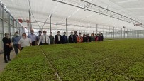 Afyonkarahisar'a Kurulacak Olan Tıbbi Aromatik Bitkiler Bahçesi Ve Üretim Merkezi İçin Çorum'da İnceleme Haberi