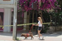 Antalya'da 10 Dairenin Bulunduğu Bina Karantinaya Alındı