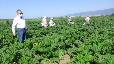 Başkan Arslan Açıklaması 'Kazdağları 3T İle Gündeme Gelecek'