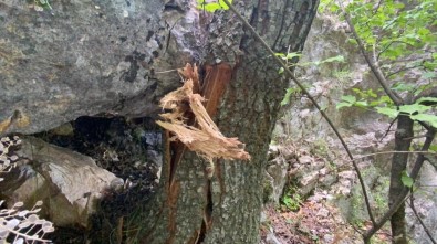 Bursa'nın Sahil Mahallesinde Kaya Düşme Tehlikesi
