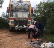 Dilovası'nda Ormanlık Alanlar Temizlendi