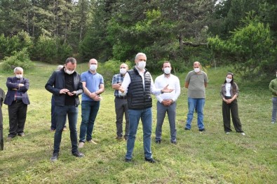 Gölcük Yaylası'nda Öncelik Doğa