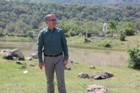 Göller Bölgesine Doğal Mesire Alanı