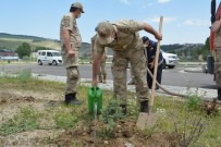 Sarıkamış'ta Jandarma 181. Yıldönümünü Ağaç Dikerek Kutladı