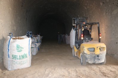 Yerli Ve Milli Patates Çiftçi Yolunda