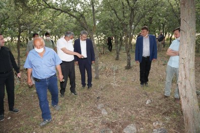 Yunanların 99 Yıl Önce Katlettiği 83 Türk'ün Mezar Yerleri Bulundu