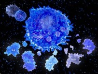 ARAŞTIRMA MERKEZİ - Corona virüsün yaşayamadığı tek yüzey! Mutasyon sonrası 10 kat arttı...