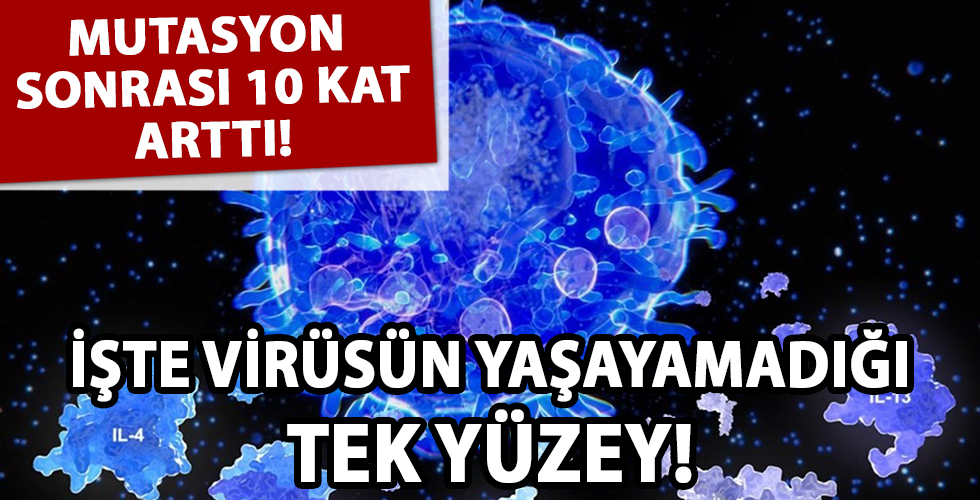 Corona virüsün yaşayamadığı tek yüzey! Mutasyon sonrası 10 kat arttı...