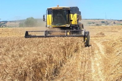 Hububat Biçim Fiyatları Açıklandı