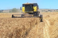 Hububat Biçim Fiyatları Açıklandı