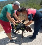 Yaralı Köpeğin Yardımına İtfaiye Koştu