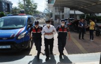 Alanya'da Evinin Bahçesinde Uyuşturucu Yetiştiren Şüpheli Tutuklandı