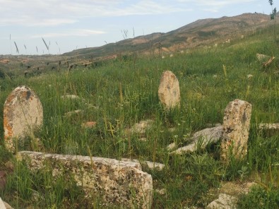 Asırlık Mezarlara Defineciler Zarar Verdi, Köylüler Sit Alanı Olmasını İstedi