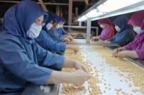 Bayraktar Açıklaması 'Fındığa Katma Değer Sağlayan Bir Kurum Haline Geldik'