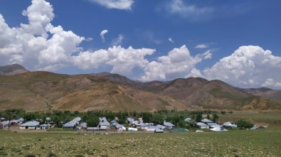 Bingöl'de Bir Köy Karantinaya Alındı