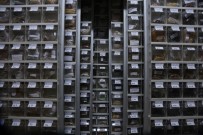 Çocukluğundan Beri Topladığı Bin 200 Çeşit Yerli Tohumu Gelecek Nesiller İçin Saklıyor