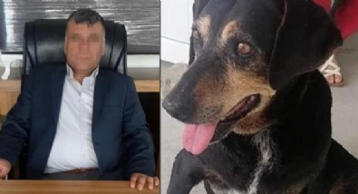 Köpeğe bir ay boyunca işkence ve tecavüz etti cezası 600 tl!