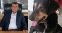 TEKEL BAYİSİ - Köpeğe bir ay boyunca işkence ve tecavüz etti cezası 600 tl!