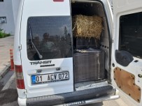 Saman Balyası Arasında 15 Bin 100 Paket Kaçak Sigara