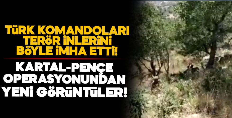 Kaplan-Pençe'den yeni görüntüler!