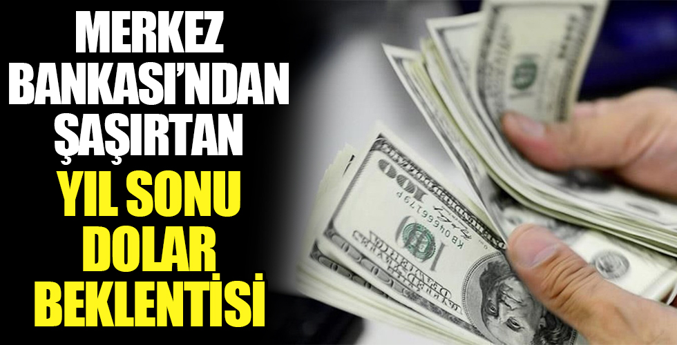 Merkez Bankası'ndan şaşırtan açıklama! Yıl sonu dolar beklentisi geriledi