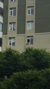 (ÖZEL) Evde Tek Kalan Köpek Pencereden Sarktı, Yürekler Ağza Geldi