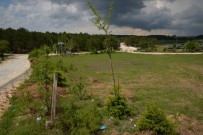 2 Bin 500 Fidan Ve Binlerce Süs Bitkisi Toprakla Buluştu