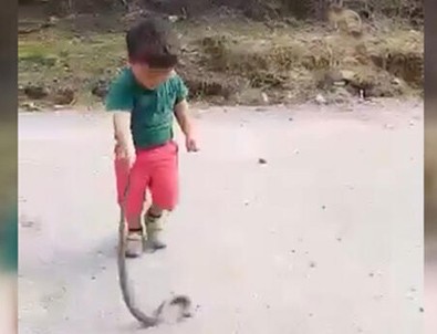 Şoke eden olay! Çocuğu yılan ile oynattı!