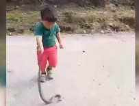 Şoke eden olay! Çocuğu yılan ile oynattı! Haberi