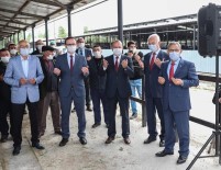 Kütahya Canlı Hayvan Pazarı 3 Ay Aradan Sonra Tekrar Açıldı