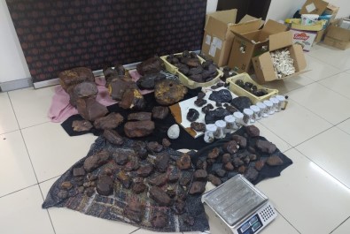 Mersin'de 145 Kilo Balina Kusmuğu Ele Geçirildi