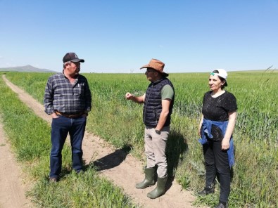 Sorgun Süne İle Mücadele Çalışması Sürüyor