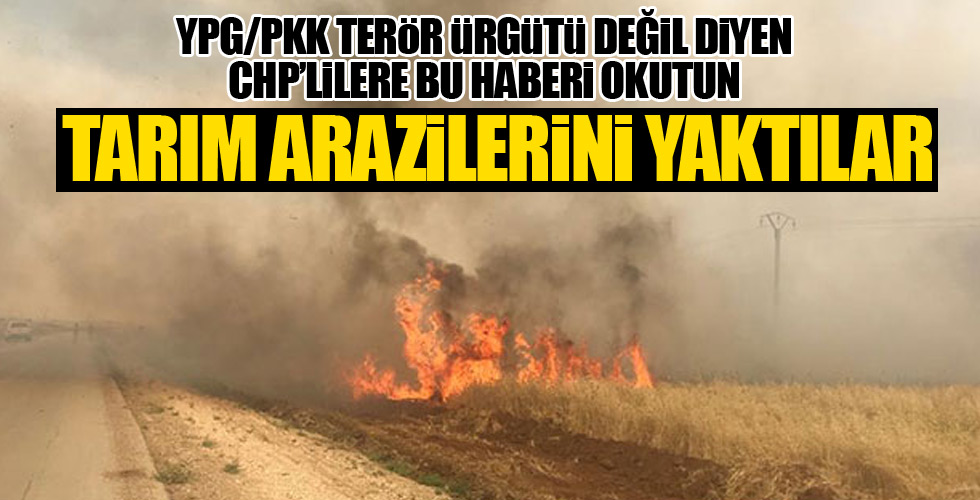 Terör Örgütü YPG/PKK sivillerin tarlalarını yaktı!