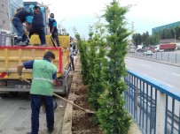 Dilovası Eynerce Kavşağı Yeşillendiriliyor