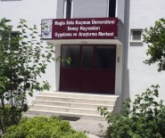 MSKÜ-MUDEM Faaliyetlerine Başladı