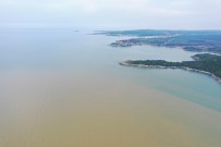 Sel Suları Karadeniz'i Kahverengiye Bürüdü