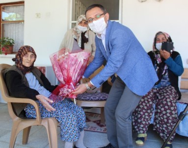 Asırlık Çınar 111 Yaşında Vefat Etti