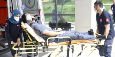 Köpekten korktu ama... Postacının kulağını bakın kim kopardı