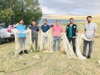 Van'da Kaçak Avlanmış 5 Ton Balık Ele Geçirildi