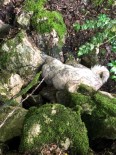 Yaylada Kayalıklarda Mahsur Kalan Köpeğin İmdadına İtfaiye Yetişti Haberi