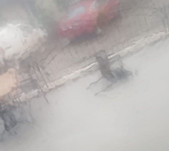 Altıntaş'ta İki Günde İkinci Sel