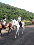 Atlı Binicilik Tesisleri'nde Eğlenceli Kamp